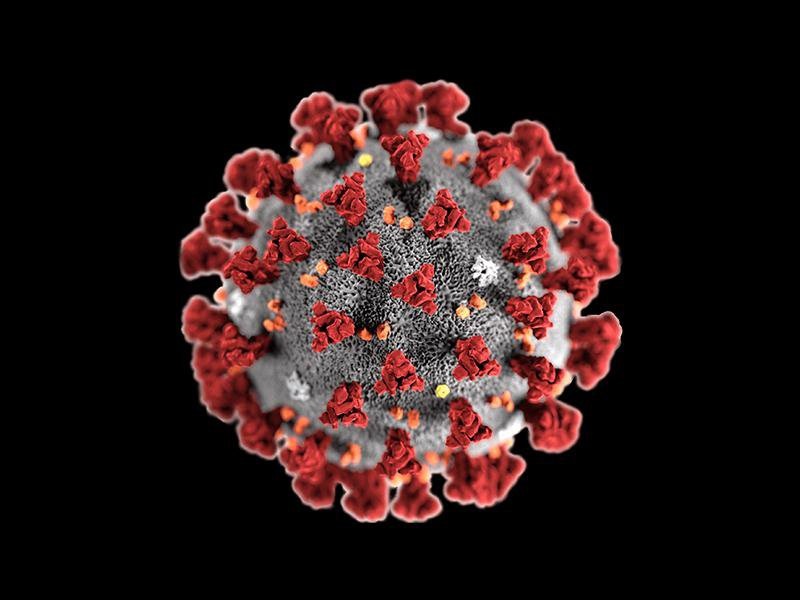 Coronavirus A Deadly Threat For The Whole Humanity