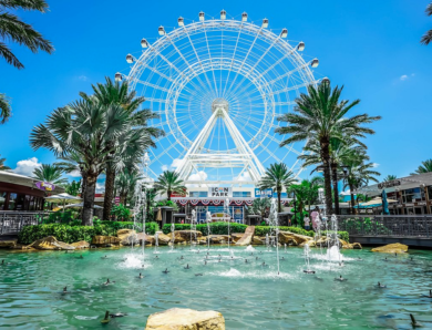Finding the Best Places and Activities in Orlando Florida