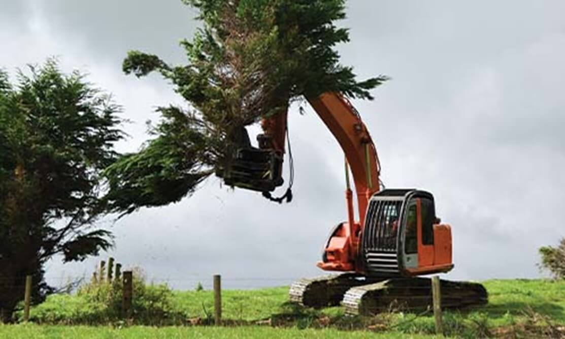 Shelter Belt Topping