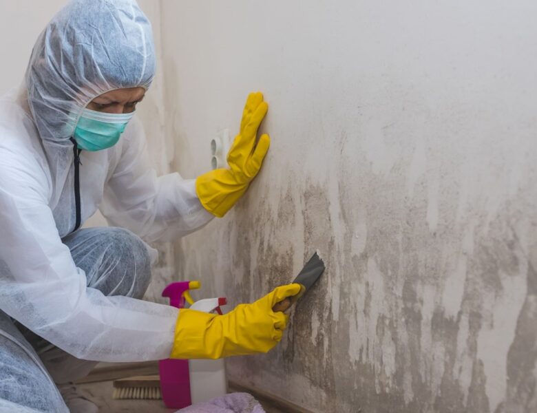 7 Reasons to Hire a Professional for Mold Remediation in Your Home
