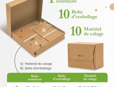 Unveiling Wingbox: Your Eco-Friendly, Tape-Free Packaging Partner!